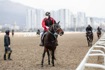 경마고객 없던 말산업 위기, 경마공동체로 활로 모색