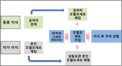 [전문의 칼럼]혈액질환의 궁극적 치료는 '조혈모세포이식'