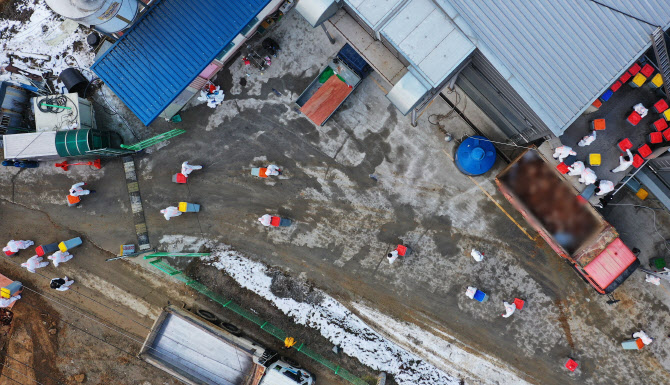 고병원성 AI 다시 확산 조짐…경기·충청·세종 일시이동중지