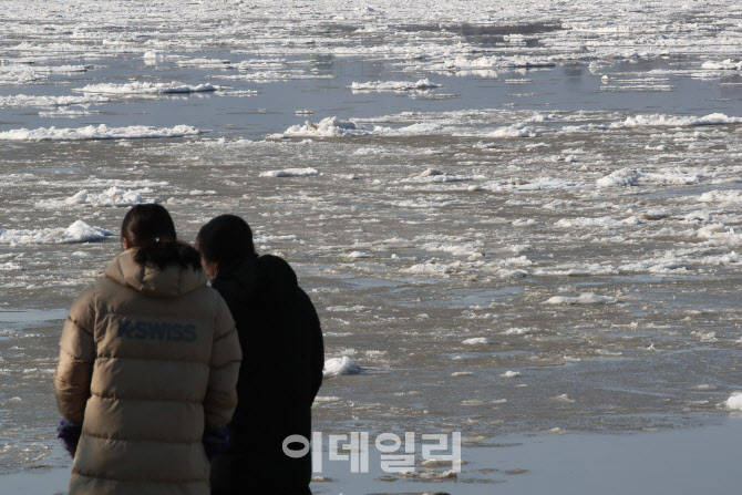 [포토]서해안 북극 한파에 '꽁꽁'