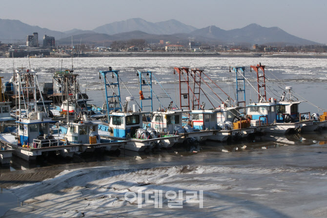 [포토]얼어붙은 서해안 발묶인 어선들