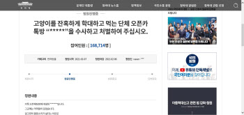 "'길고양이 학대' 오픈카톡방 처벌해달라" 청원에 동의 쏟아져