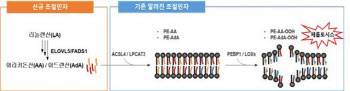 국내 암 사망자수 3위 '위암' 새로운 치료법 찾아