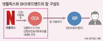 “망대가 없다”는 넷플릭스와 SKB 소송, 기술자 증인 채택한다