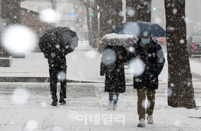 [포토]함박눈 펑펑