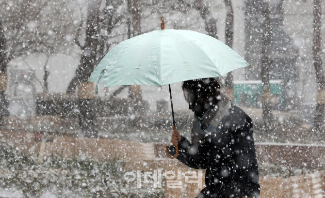 [포토]눈이 내립니다