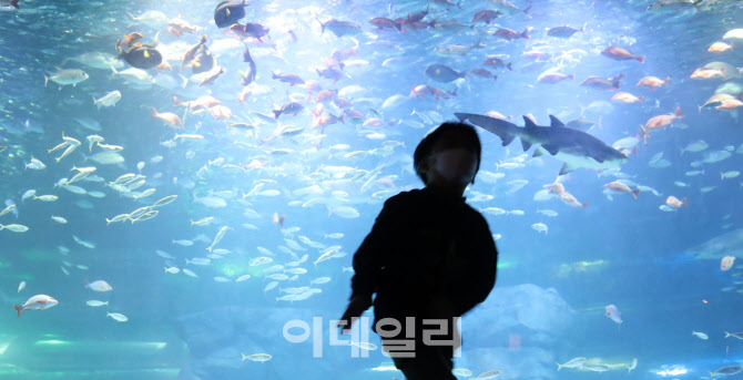 [포토]궁금한 바다 속 세상