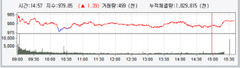 사흘째 상승…개인 매수에 980선 안착