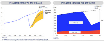 "코로나 백신·치료제?…항공 여객수요, 2023년 이후에나 회복"
