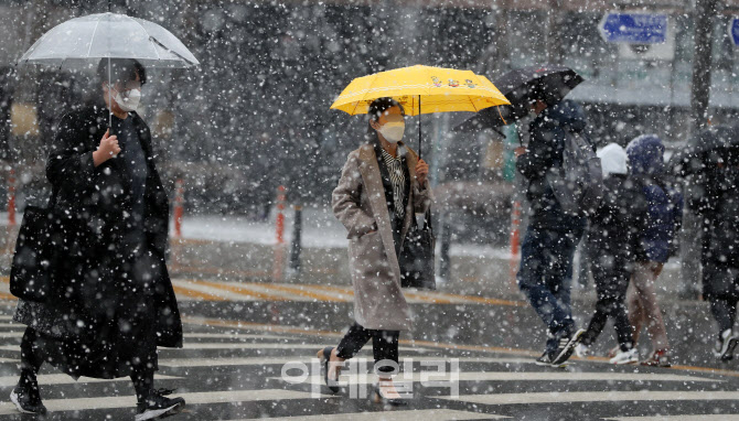 [포토]펑펑 내리는 눈