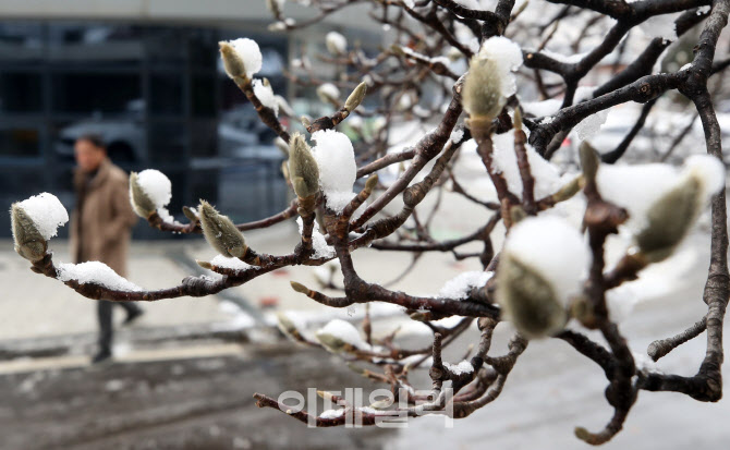 [포토]다가오는 봄 시기하는 겨울