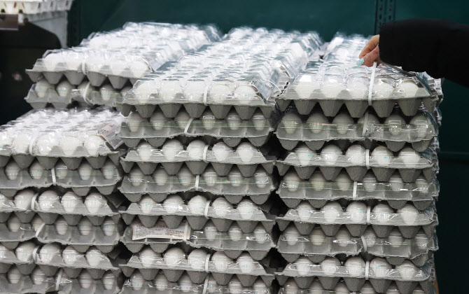 설 전 수입란 2000만개 시중 공급…"계란가격 관리 지속"