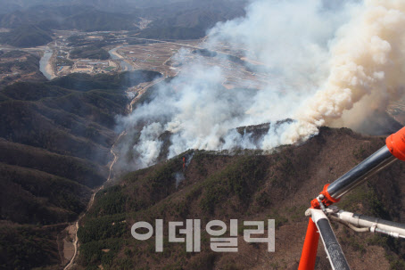 올해 봄철 강풍에 건조한 날씨까지 산불 발생 위험 높다