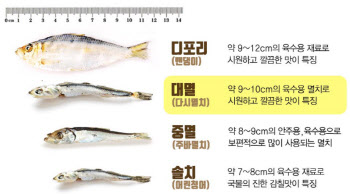 `연지홍게, 솔치, 물가자미`…새끼생선 알고도 판매하는 유통街