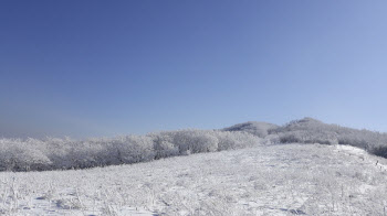 산림청, 산림보호구역內 불법 야영·취사 특별 단속