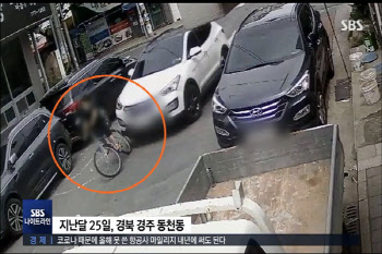 "내 딸 왜 때려" 경주 스쿨존 가해자에 징역 1년 선고