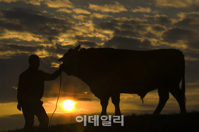 [포토]2021년 행복하소