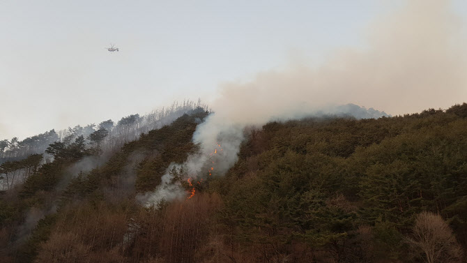 강원 정선 야산서 불…헬기 12대 투입 진화중