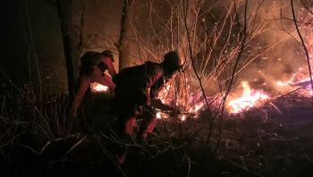 강원 정선산불, 산림 12㏊ 태우고 18시간만 진화