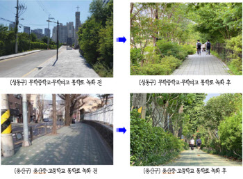 서울시, 도심 68곳에 나무 40만주 심는다…미세먼지↓·보행편의↑