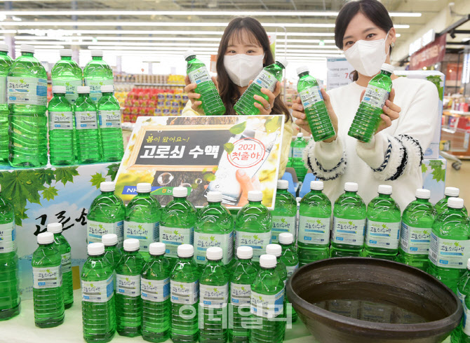 [포토] 농협유통, 고로쇠 수액 판매