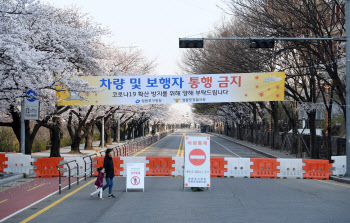 여의도 벚꽃길 올해도 못 가요…코로나 여파 2년 연속 전면 통제