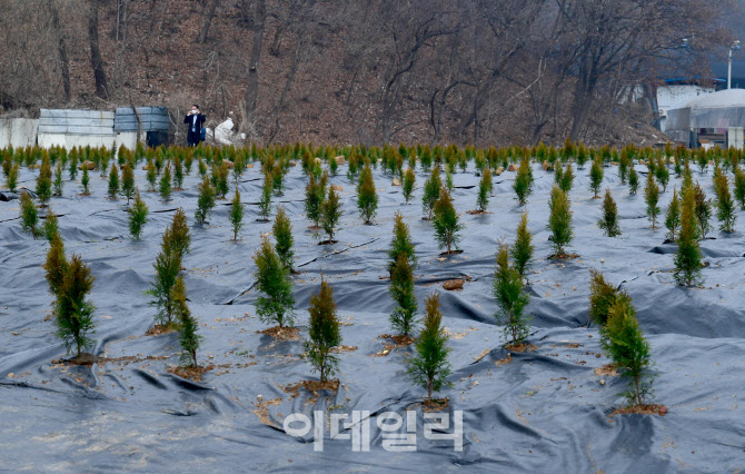 광명·시흥 논밭 매수자, 40% 서울 거주…투기 수요 몰렸나