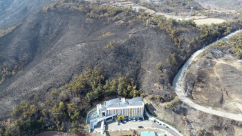 2월 산불로 안동·예천·영동 산림 494㏊ 사라져…피해액 49.8억