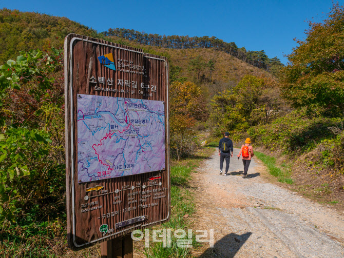 코로나 시대, 국민 10명 중 3명 ‘걷기여행’ 즐겼다