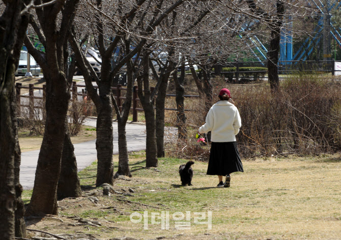 [포토] 산책하기 좋은날