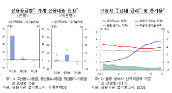 생계자금에 주식·부동산까지..비은행권도 가계대출 '500조'
