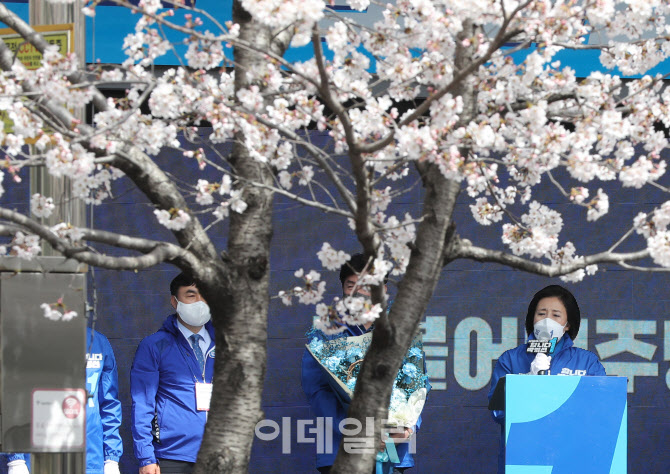 [포토]박영선, '벚꽃 유세'