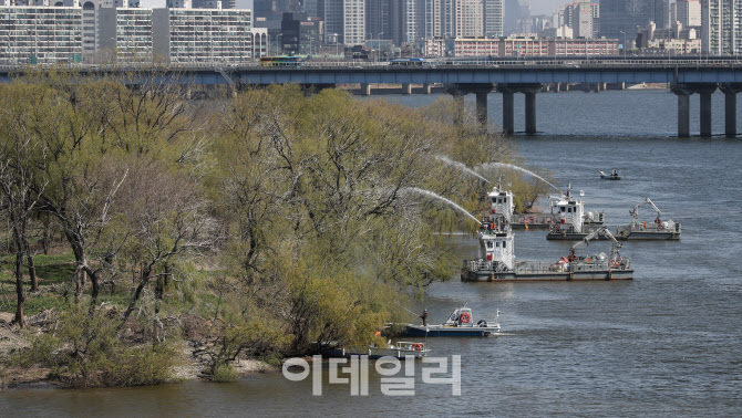 [포토]'봄맞이 밤섬 대청소'