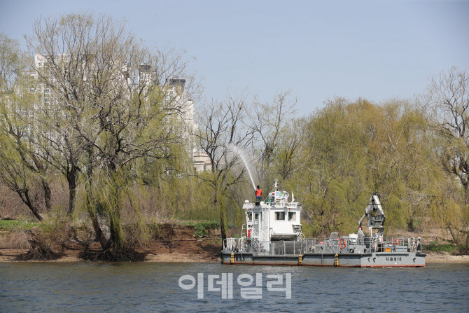 [포토]'밤섬 버드나무 물청소'