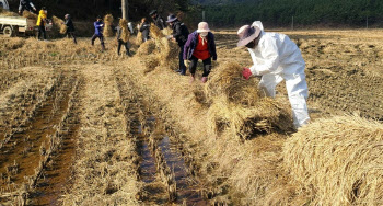 "작년 소규모 직불금 수령 농가, 30만원 바우처 신청하세요"