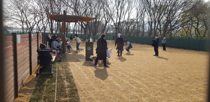 구리 장자호수공원 반려견놀이터 인기…하루 130명 방문
