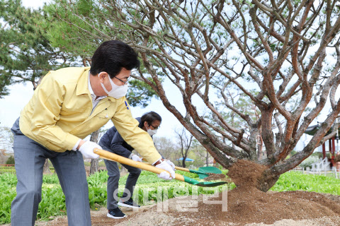 [포토]허태정 대전시장, 2일 한밭수목원서 식목일 기념식수