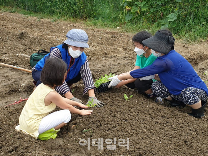 유기농 채소 직접 수확 ‘함께서울 친환경농장’ 10일 개장