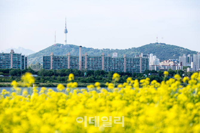 배꽃·유채꽃·매화까지…서울서 만나는 ‘벚꽃’말고 ‘봄꽃’