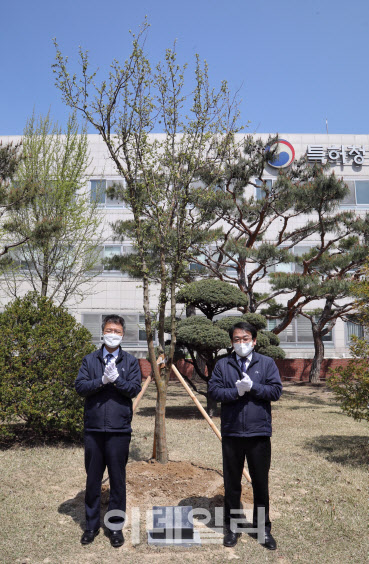 [포토]김용래 특허청장, 국제지식재산연수원서 기념식수