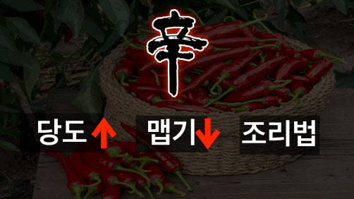 [집밥포럼]“신대륙에서 온 고추, 한국의 매운맛으로 재탄생”