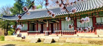 "조선 시대 임금이 독서하던 창덕궁 후원서 책 읽어요"