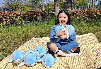 SK이노 지원 우시산, 하루 만에 '상괭이 보호 펀딩' 초과 달성