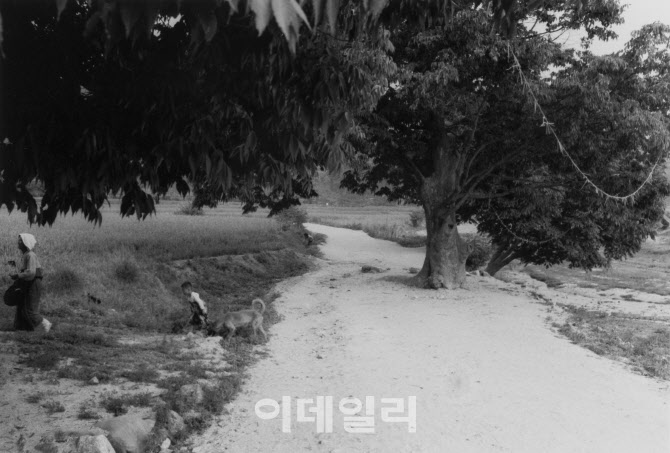 블랙 셔터가 벗겨낸 검정 고무신…"저이들이 우리였구나"