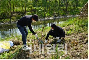 서울시 "나무 심으러 한강 가요" 캠페인