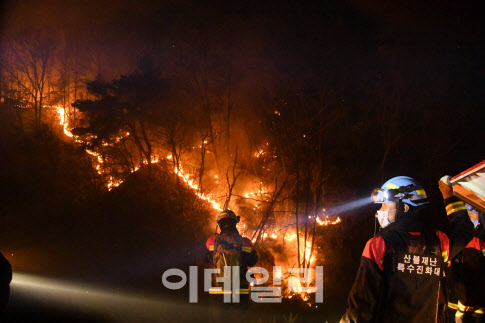 무주산불 산림 10여㏊ 태우고 발생 17시간만에 큰 불길 잡혀