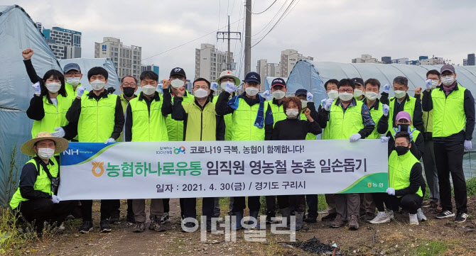 [포토] 농협 하나로유통 임직원, 영농철 일손돕기