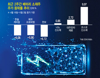 '넥스트 소재' 놓고 심화되는 '배터리 삼형제의 난'…투자 전략은?