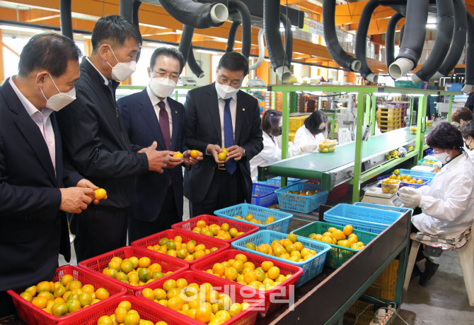 [포토] 이성희 농협회장, 현장경영
