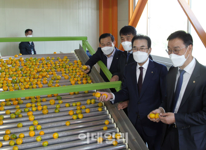 [포토] 감귤 선별현장 찾은 이성희 농협회장